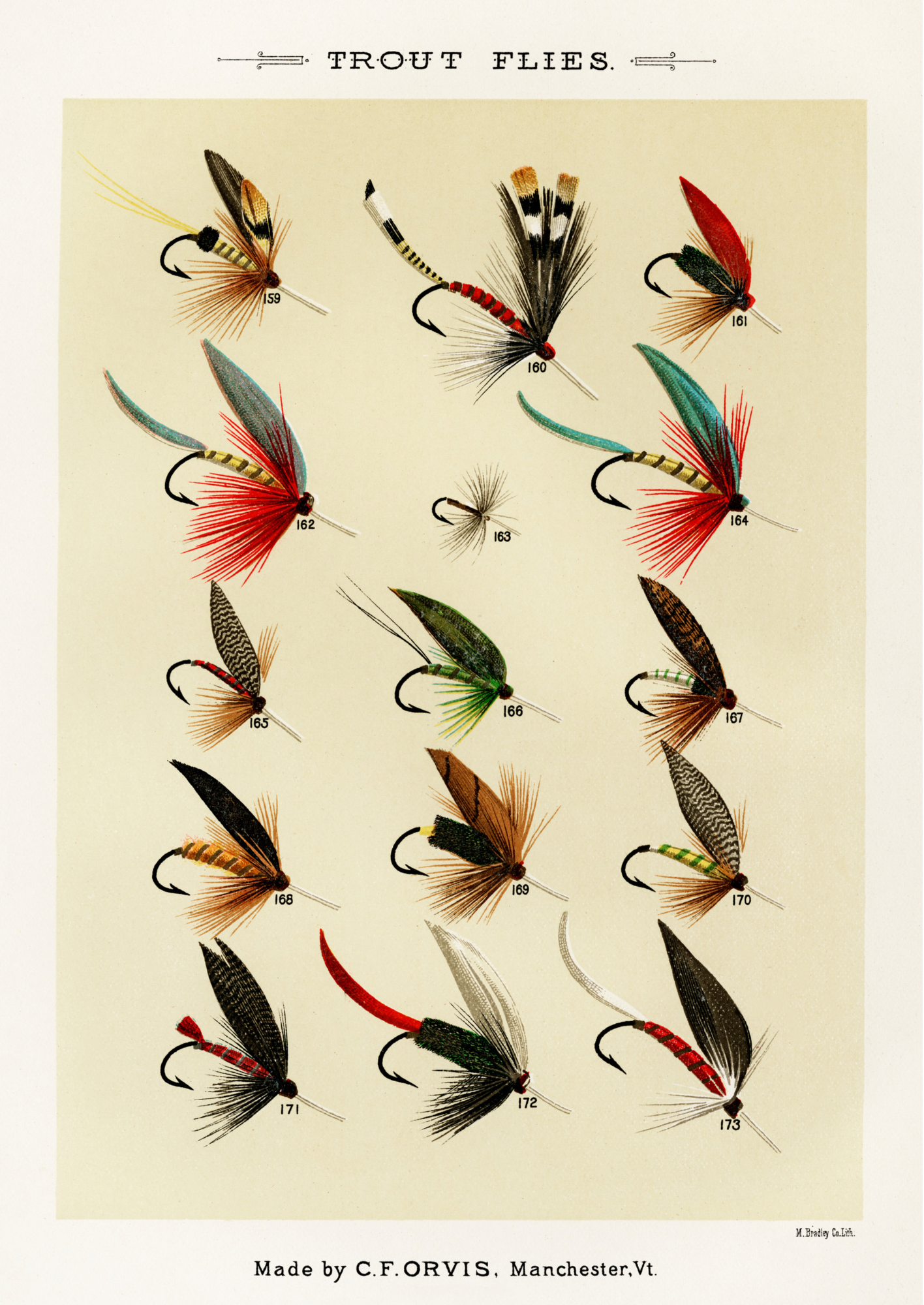 Trout Flies, Fishing Print
