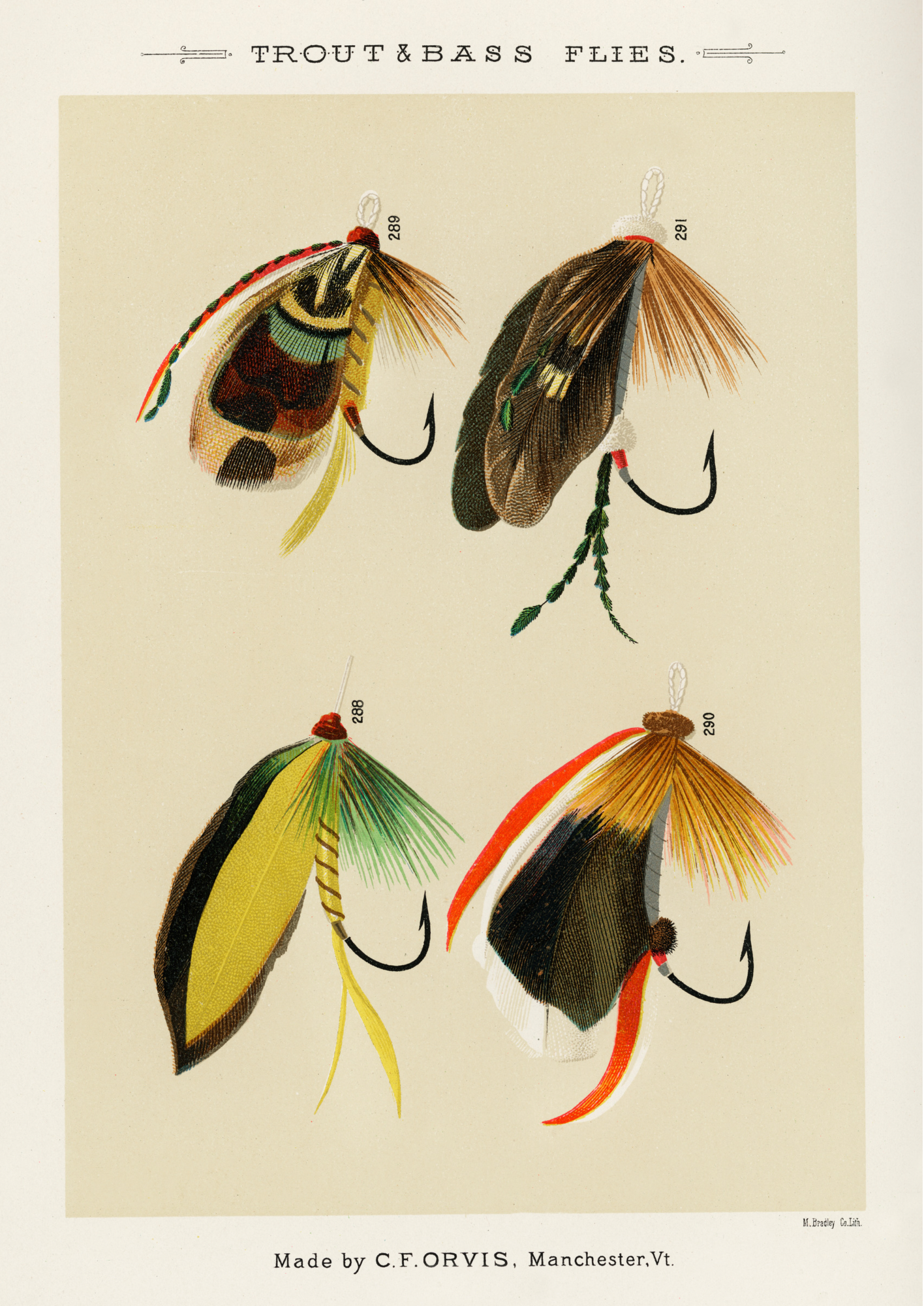 Trout and Bass Flies, Fishing Print