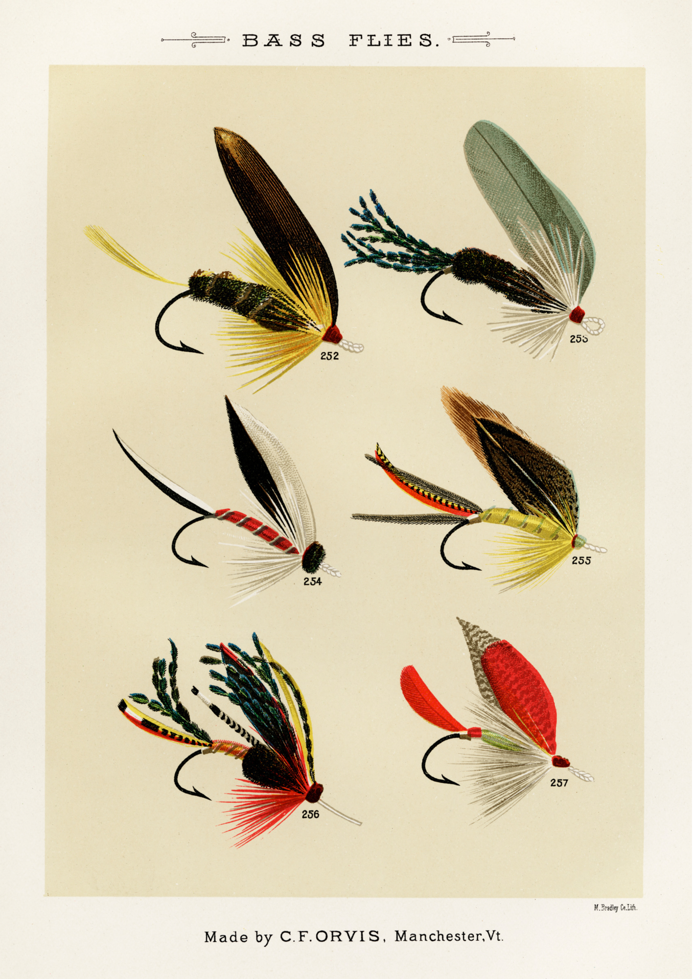 Bass Flies Fishing Print