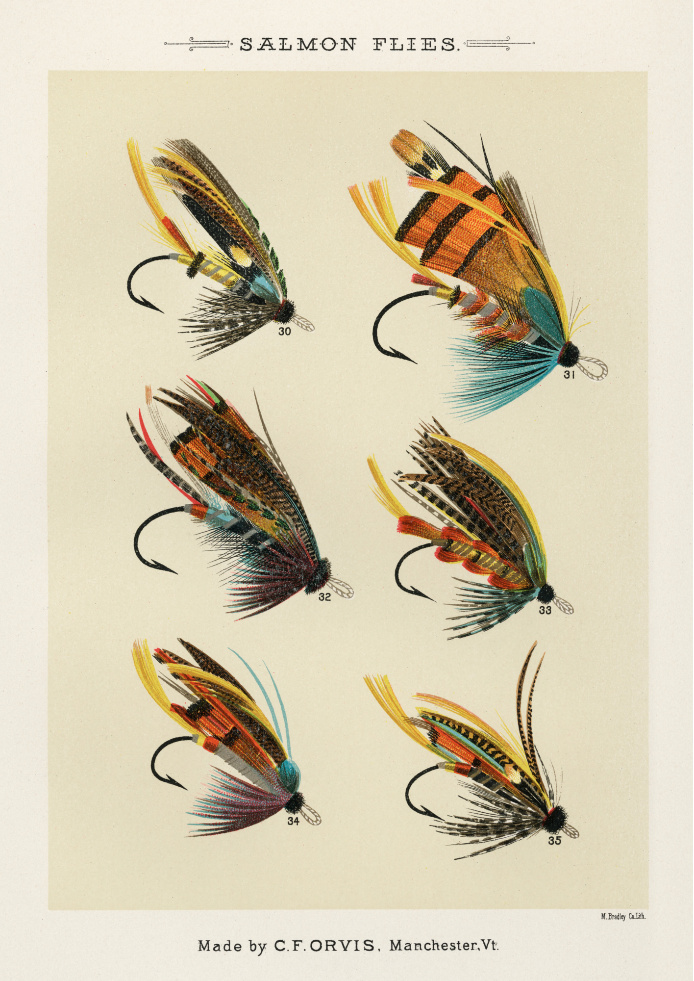 Salmon Flies, Fishing Print