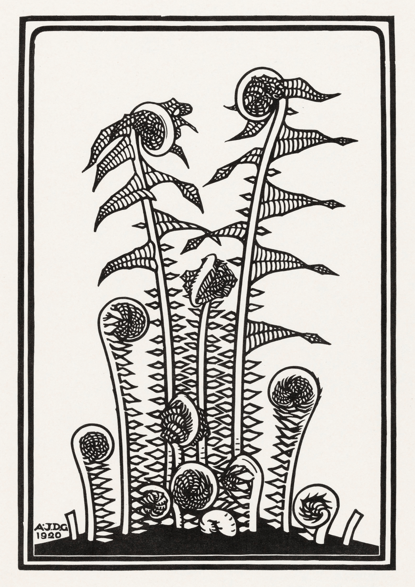 Fern Print, Julie de Graag