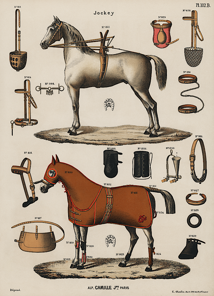 Antique Riding Equipment Print