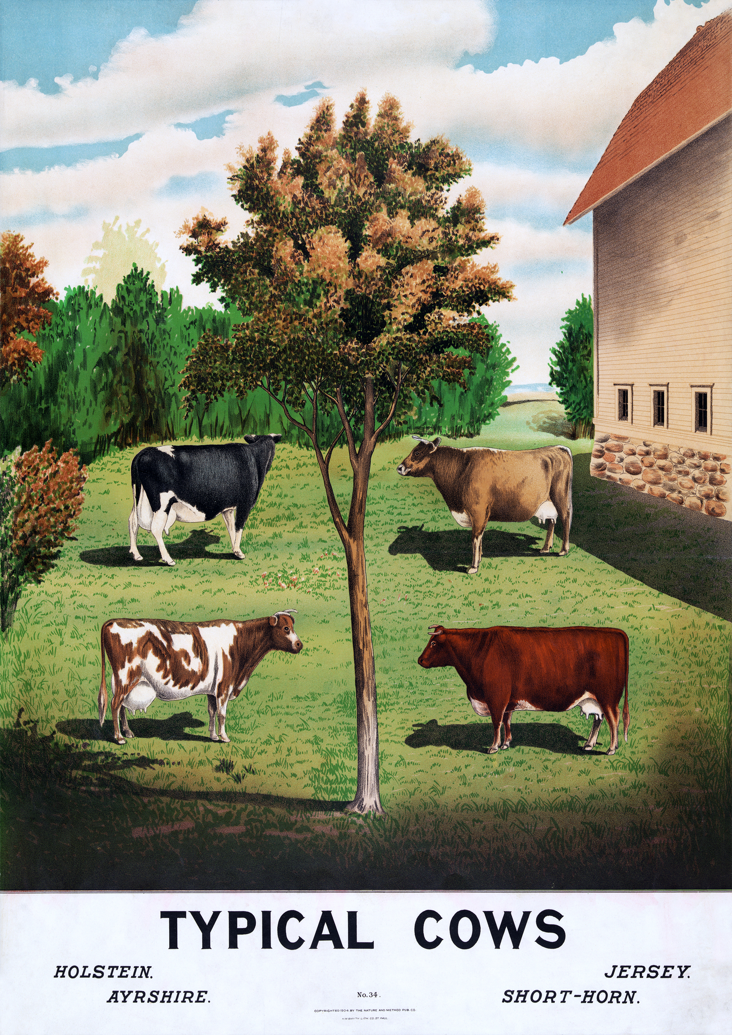 Vintage Typical Cows Print