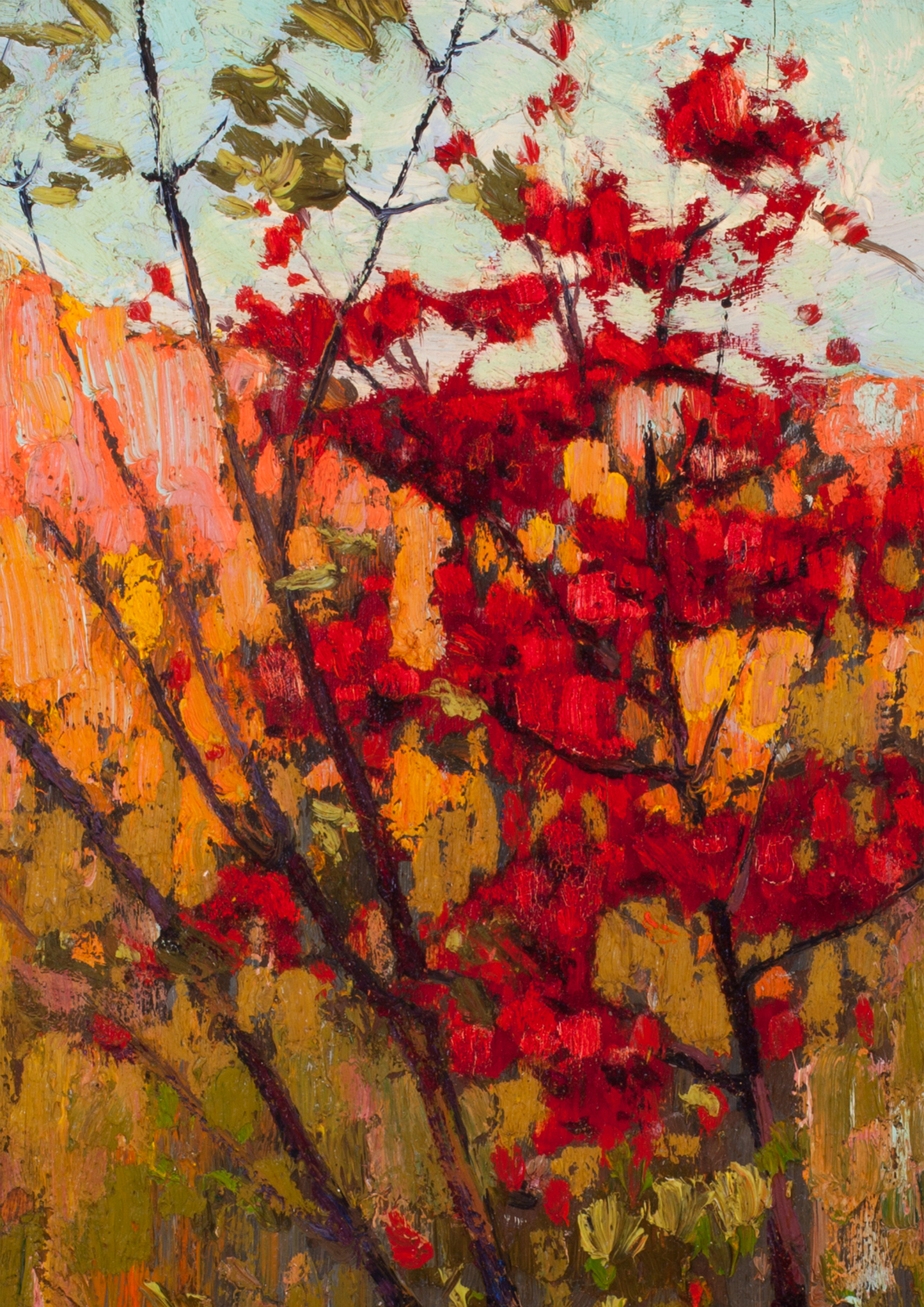 Tom Thomson, Soft Maple in Autumn Print