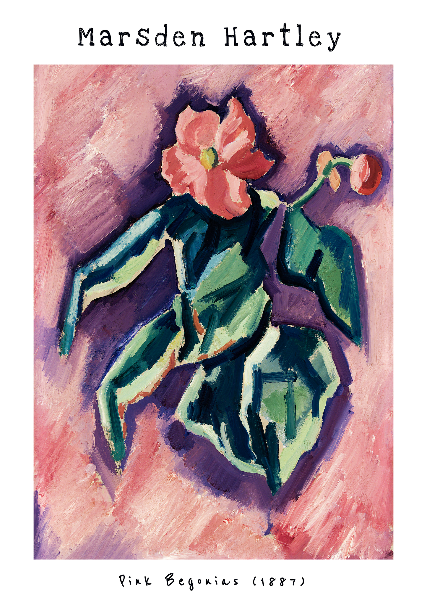 Marsden Hartley Pink Begonias Print