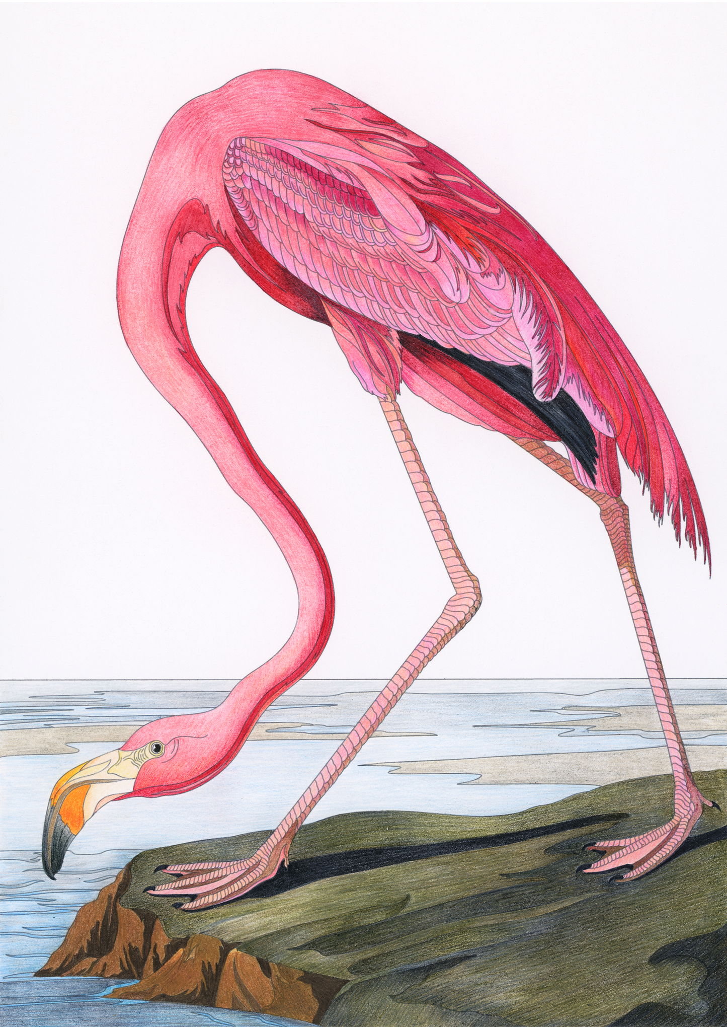 Pink Flamingo Print
