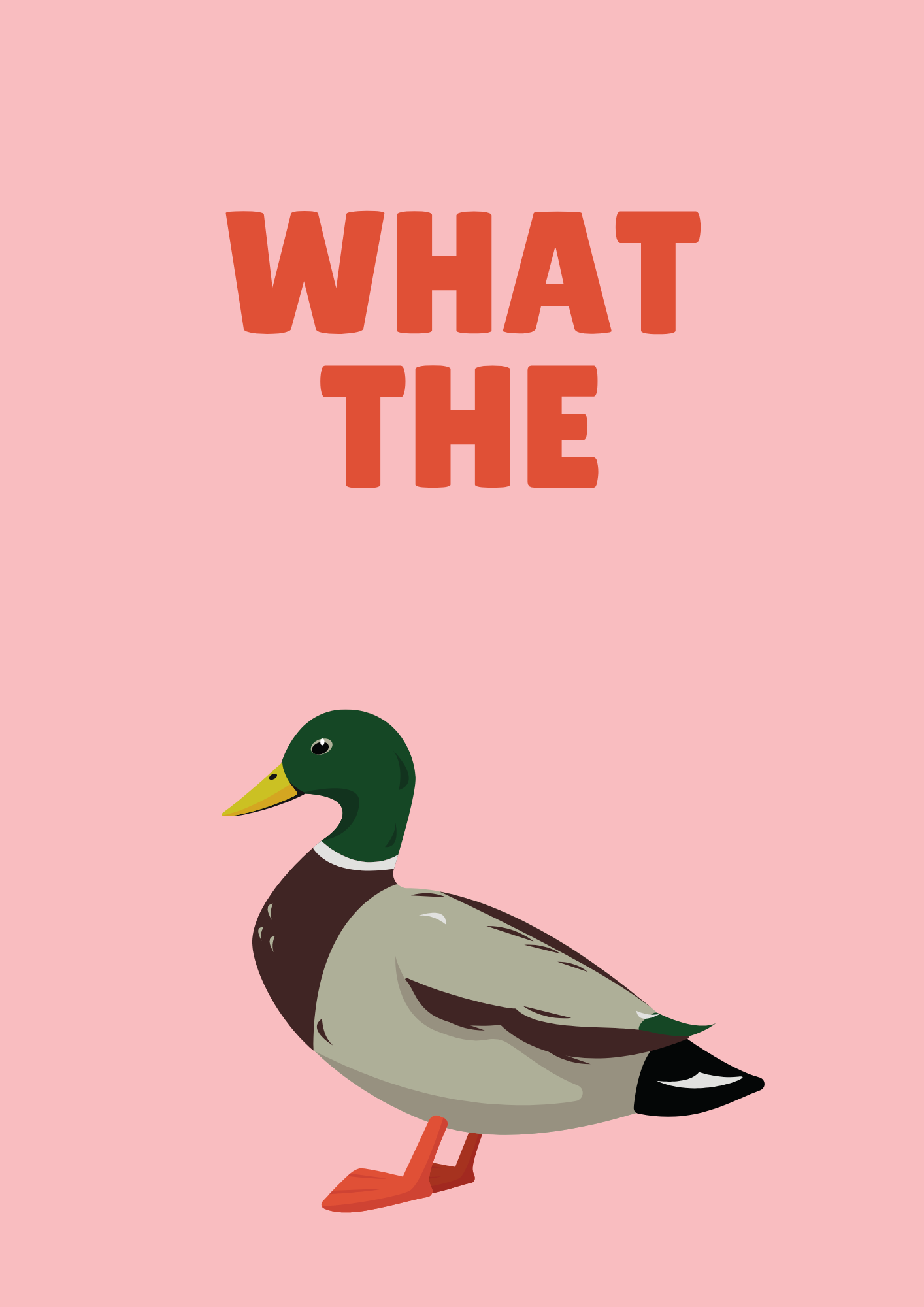 What the Duck Wall Print