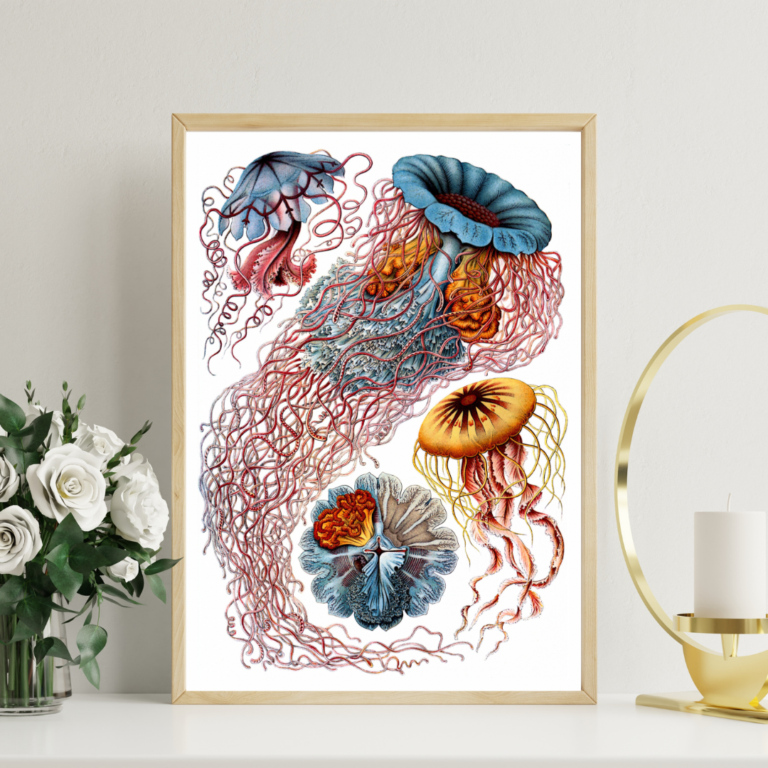 Vintage Art Forms of Nature Print