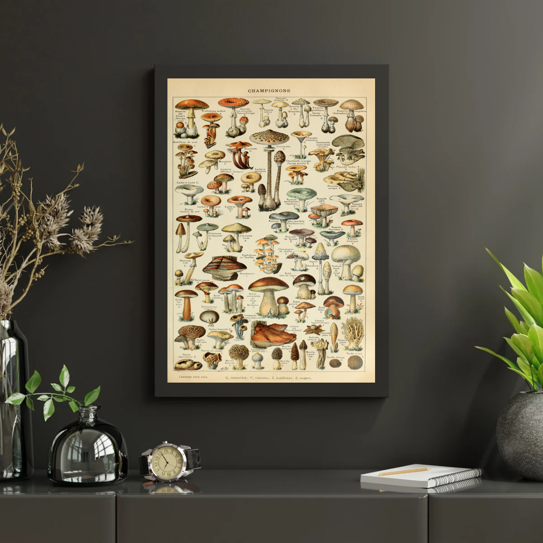 Vintage Mushroom Print