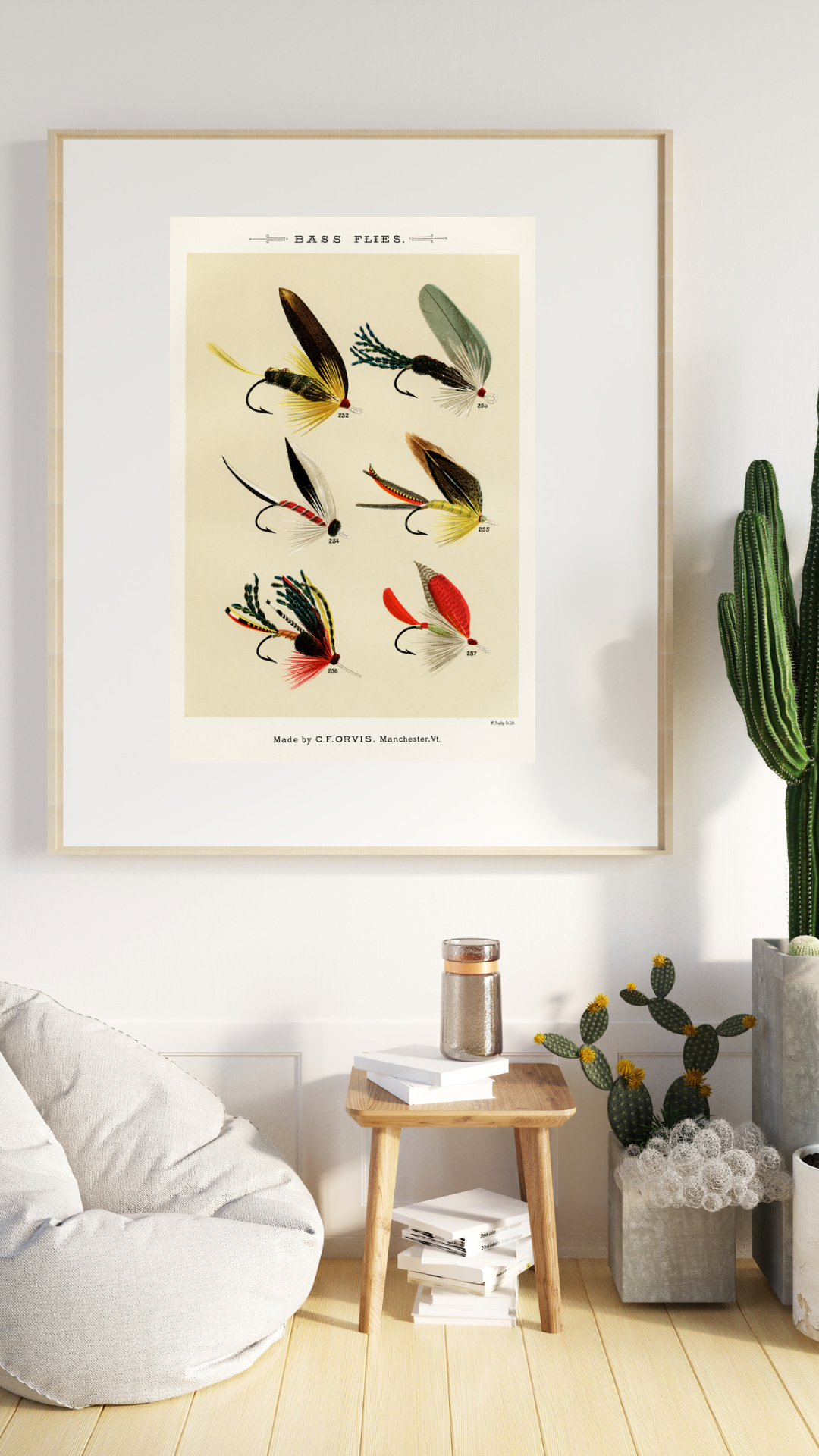 Bass Flies Fishing Print