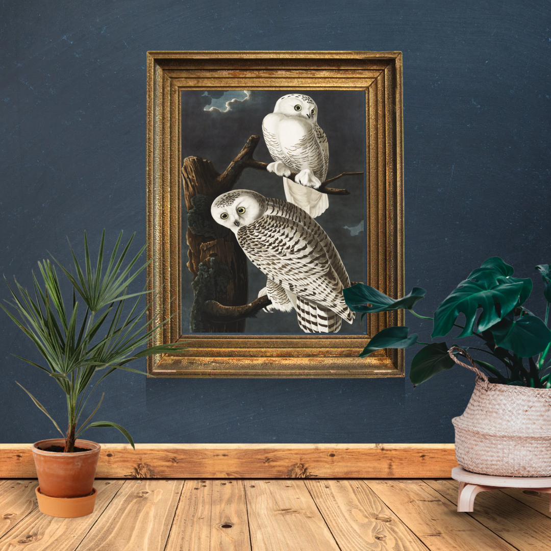 Owl Wall Print
