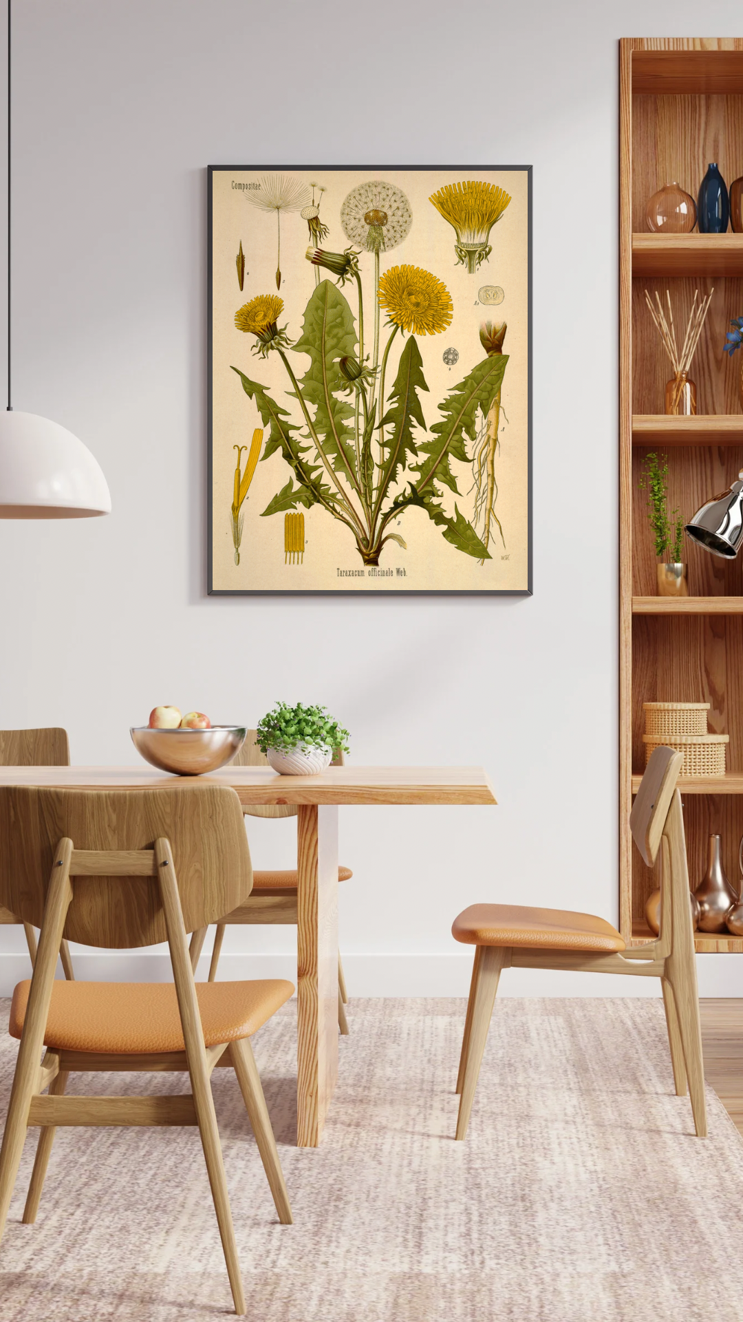 Dandelion, Taxicum Officiinale Vintage Print