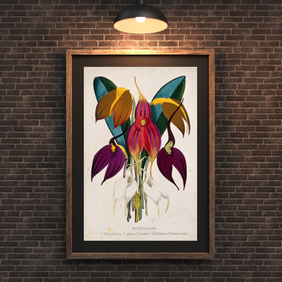 Tropical Orchids Print