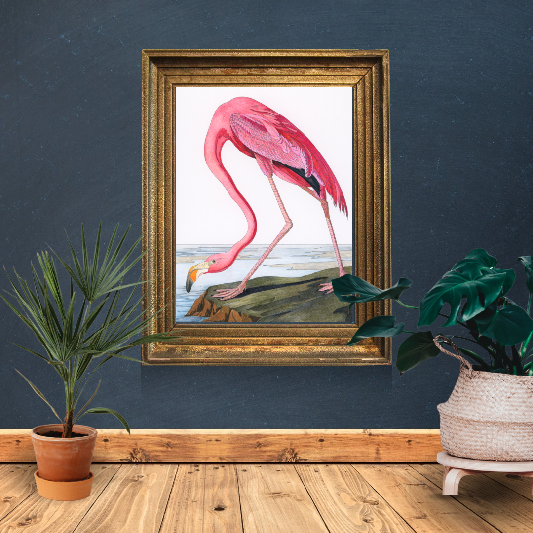 Pink Flamingo Print