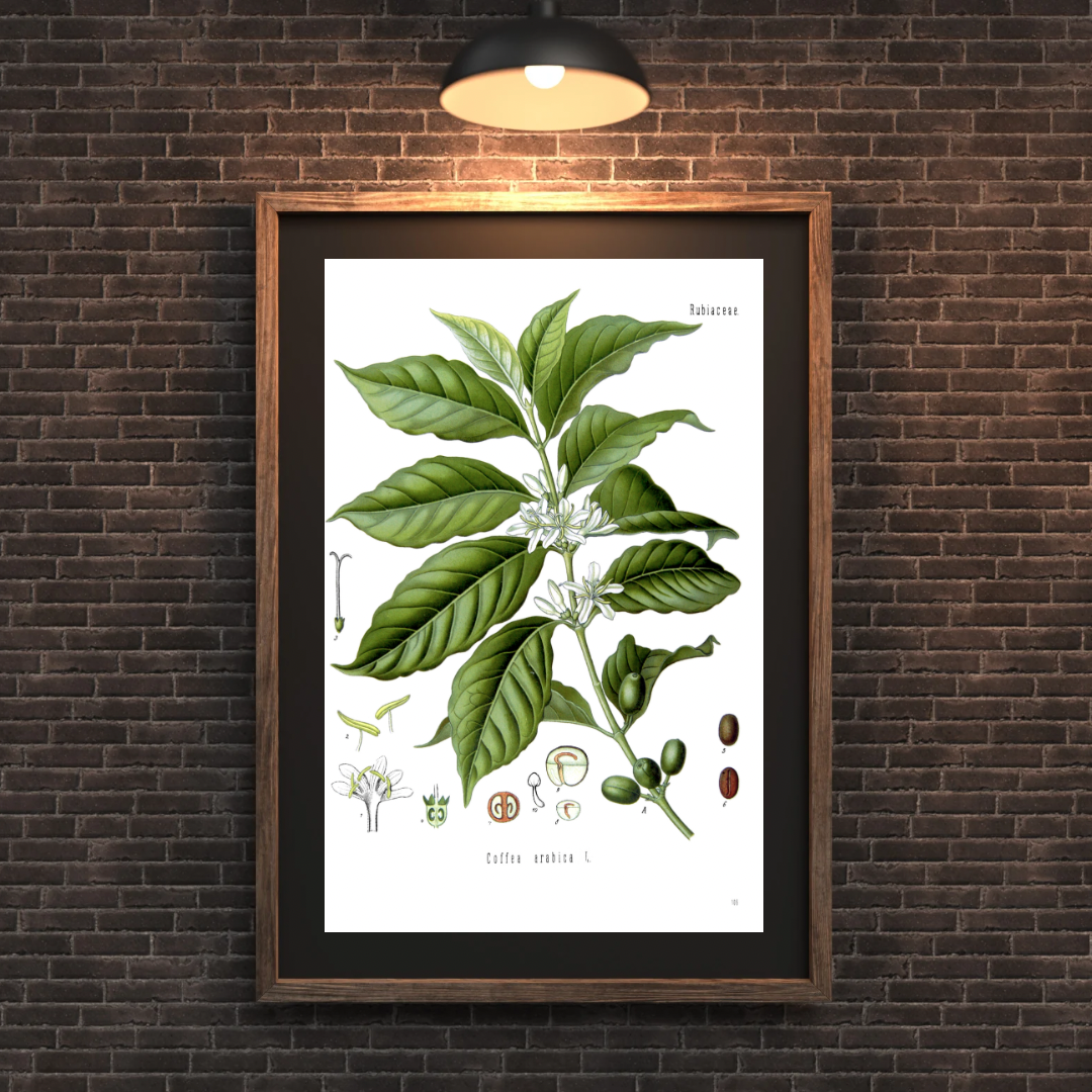 Vintage Coffee Print