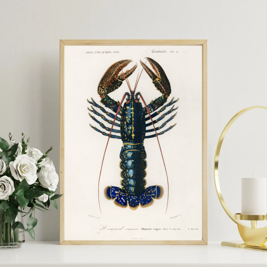 Lobster Print