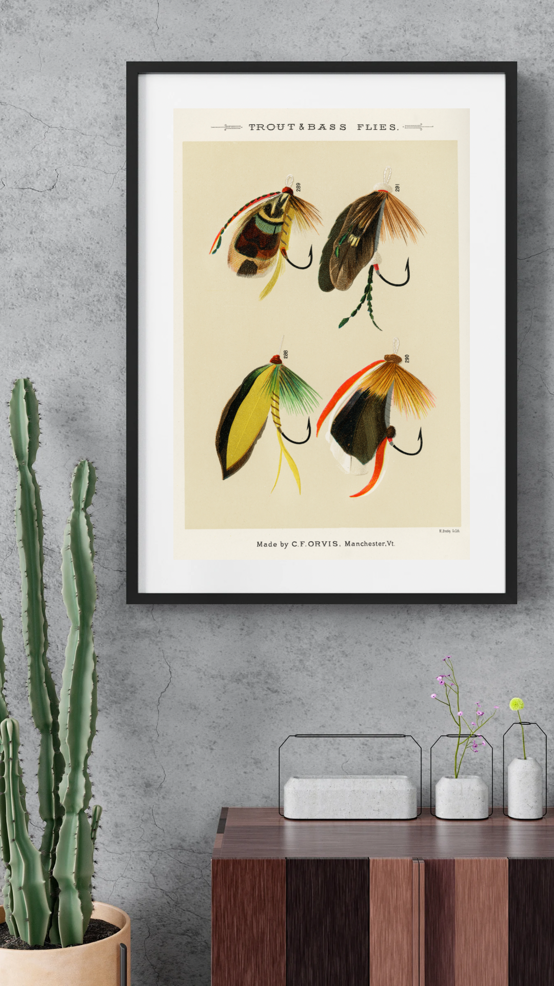 Trout and Bass Flies, Fishing Print