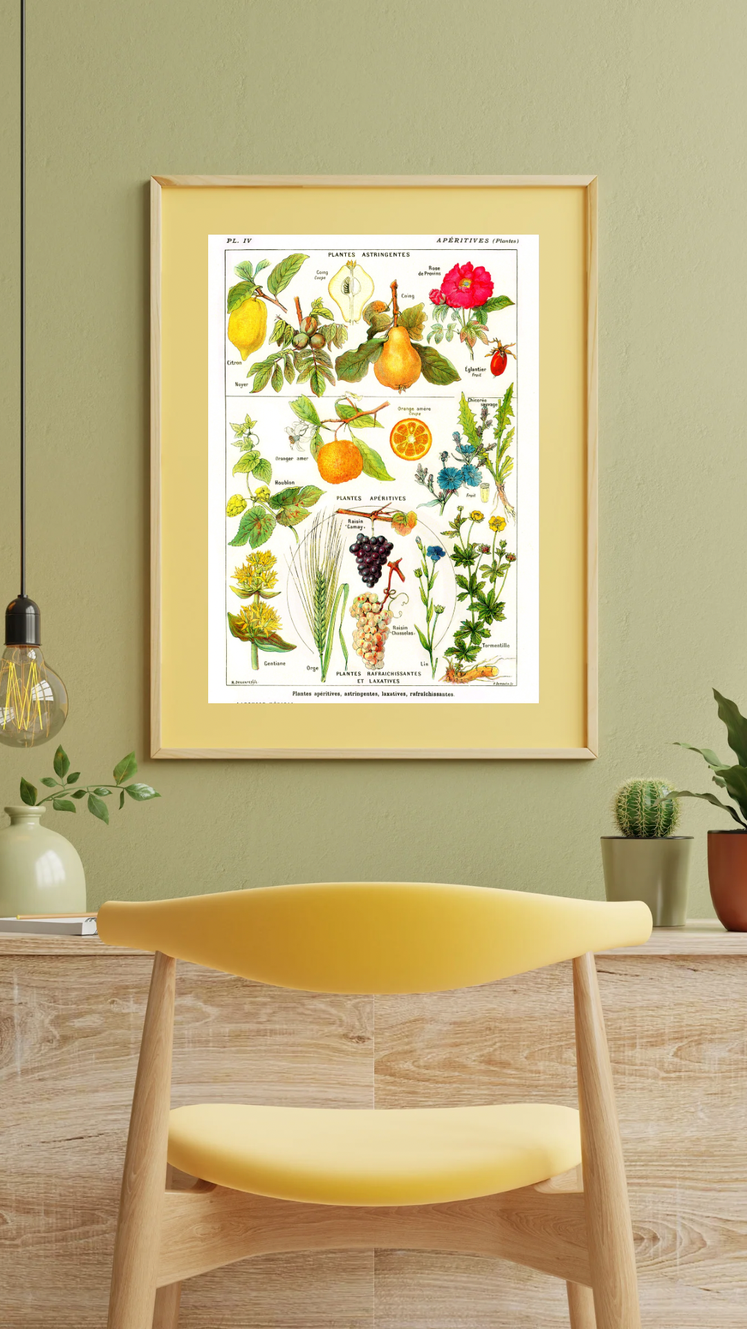 Astringentes Aperitives Vintage Print