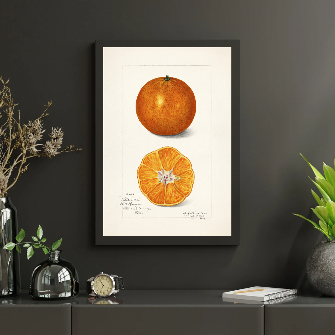 Vintage Satsuma Print