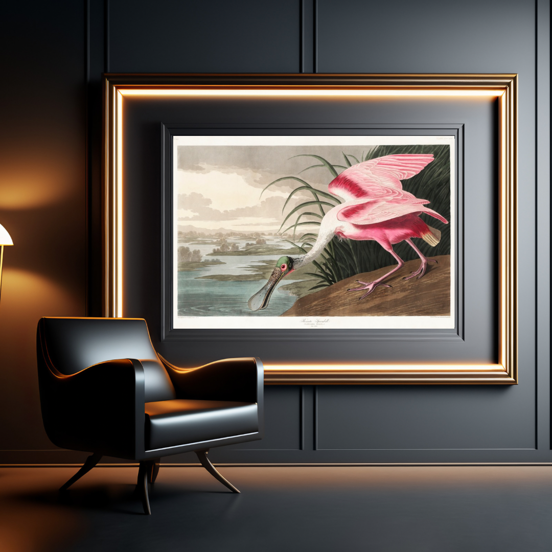 Roseate Spoonbill, Birds of America Print