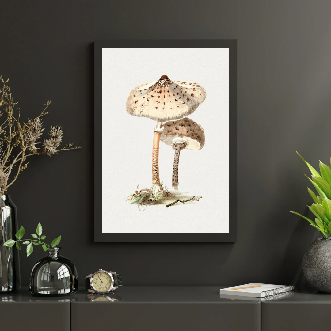 Vintage Mushroom Print