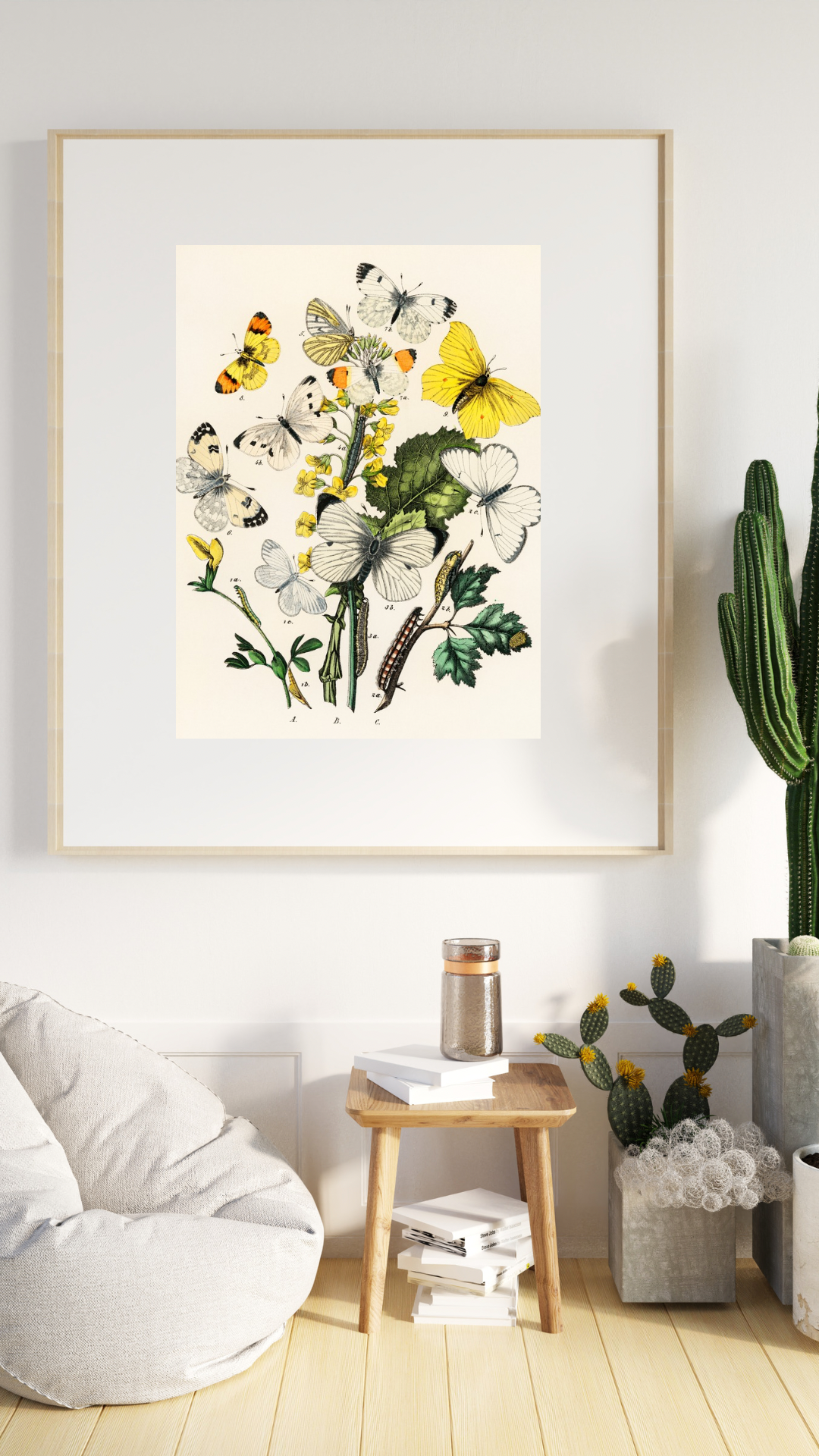 Butterflies and Moths Vintage Print