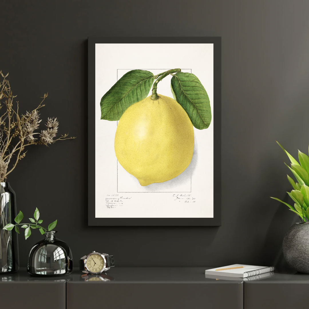 Vintage Lemon Print