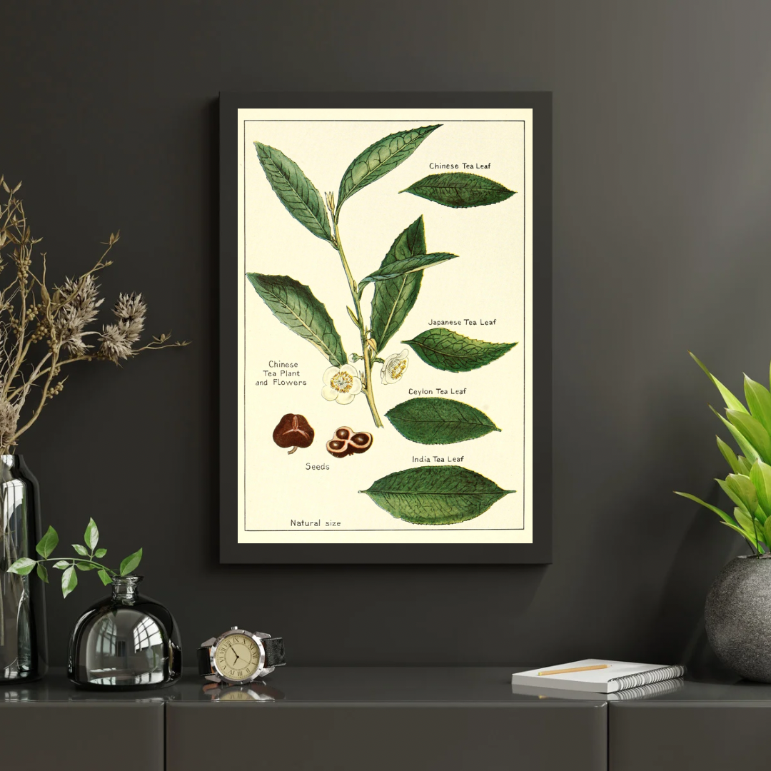 Vintage Tea Print