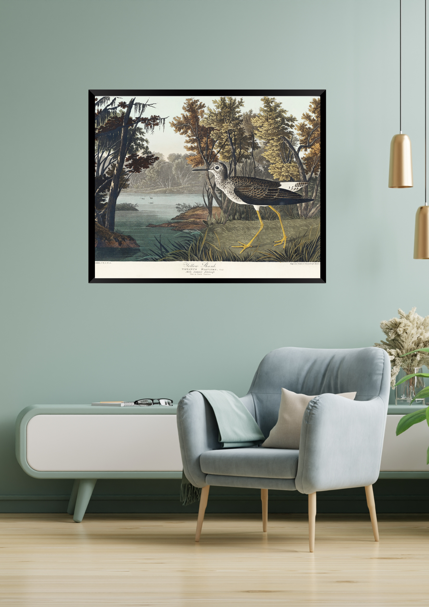 Yellow Shank, Birds of America Print