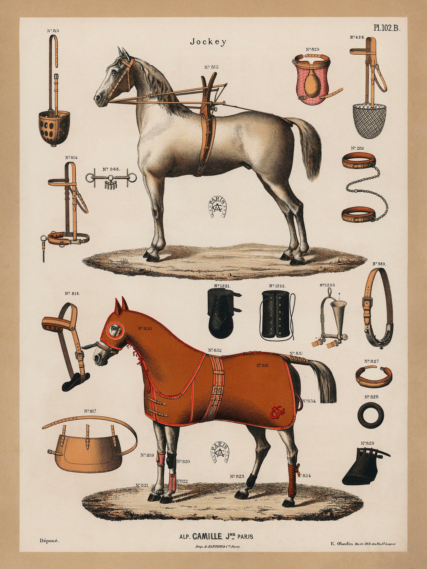 Antique Horse Print Set: Equestrian Gallery Wall Art