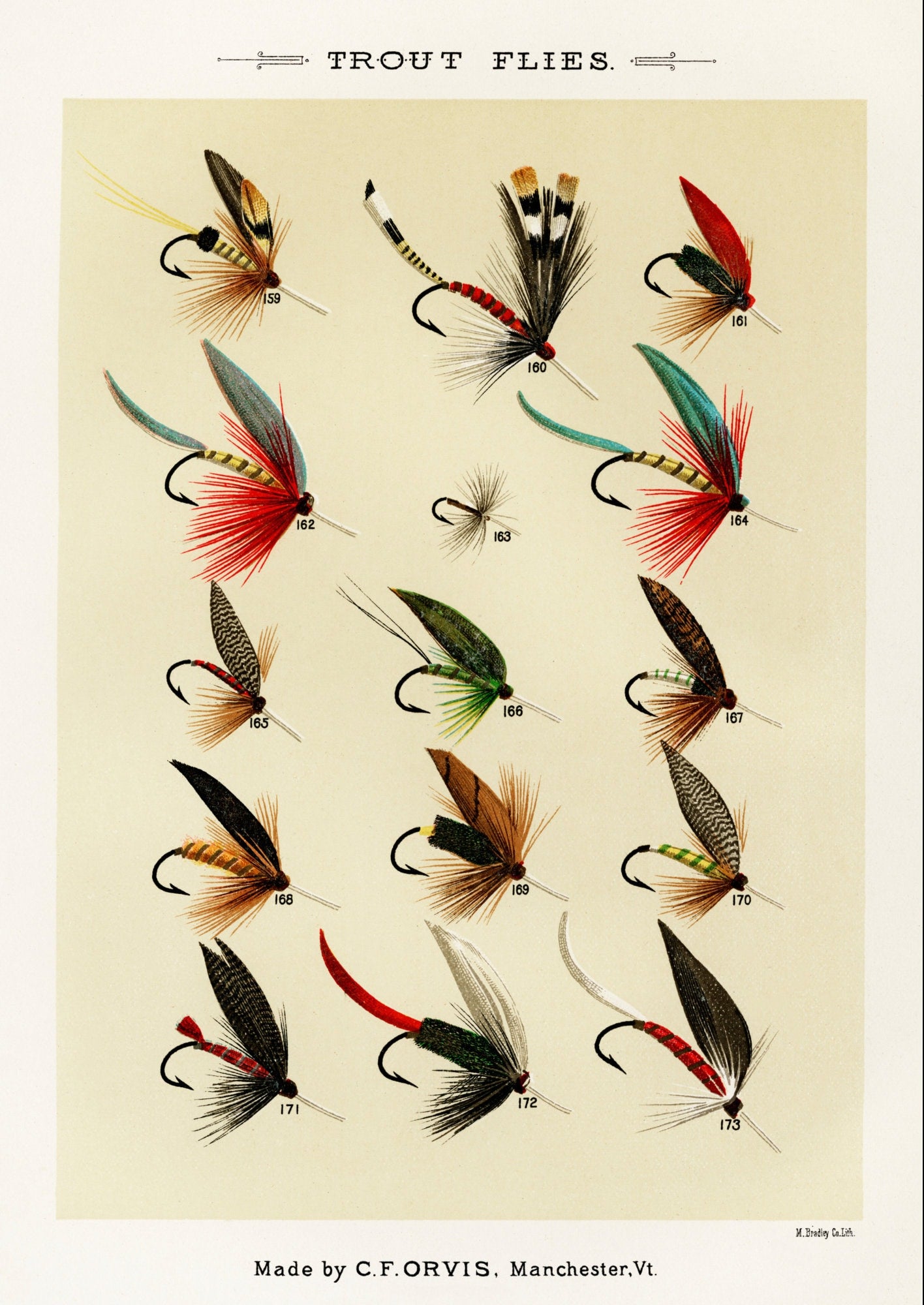 Vintage Trout Flies Print: Angling Wall Art