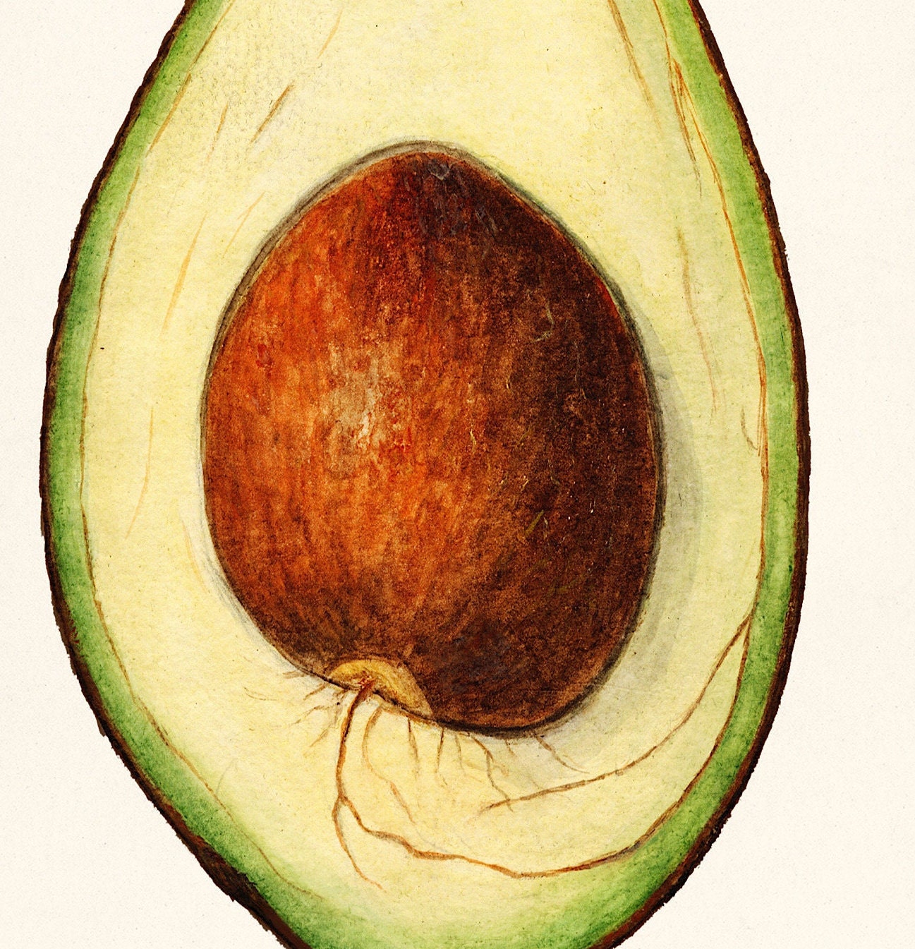 Vintage Avocado Print: A A Newton Kitchen Wall Art