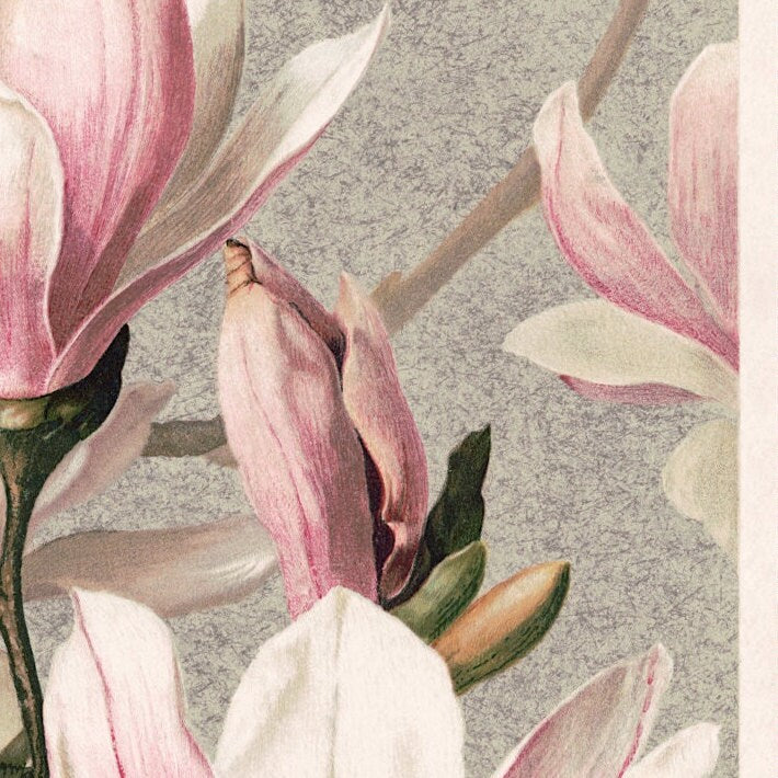 Vintage Magnolia Art Print: Floral Botanical Wall Art Poster