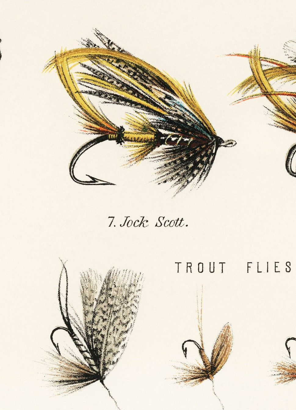 Vintage Angling Print: Salmon & Trout Flies Illustration