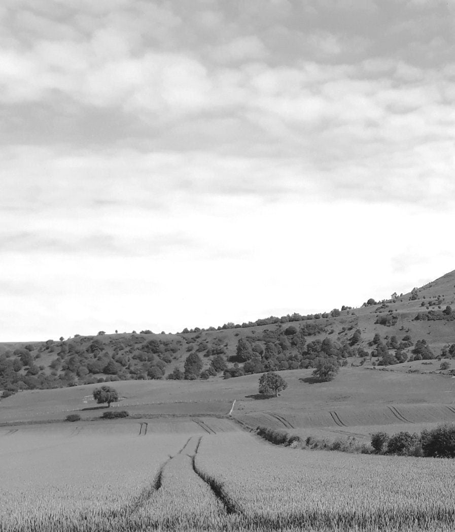 Roseberry Topping Photography Print: North Yorkshire Black and White Wall Art
