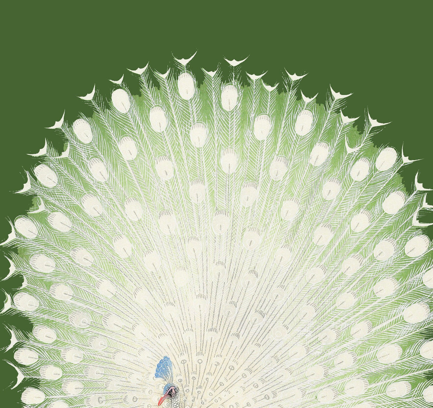 Ohara Koson Peacock Print: Vintage Japanese Art (A1/A2A3/A4)