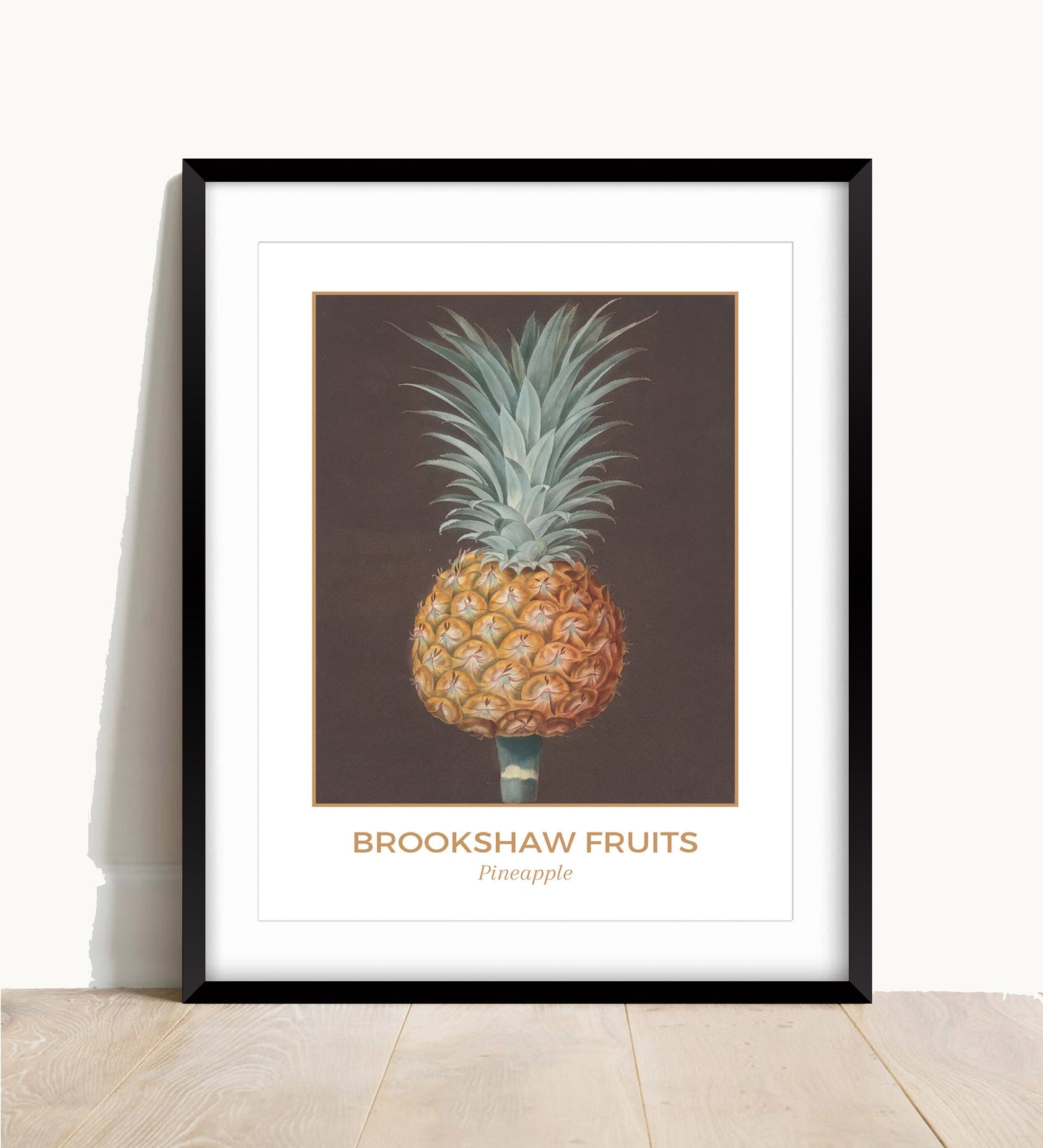 George Brookshaw Pineapple Print