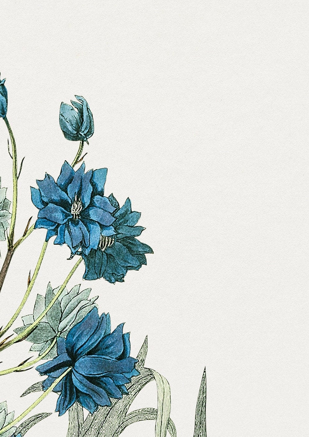 Vintage Blue Flower Print: Botanical Wall Art