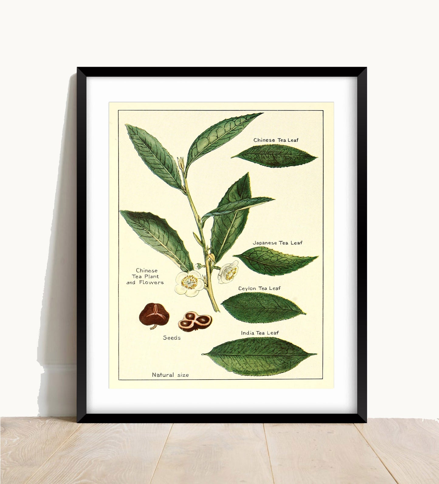 Vintage Tea Print