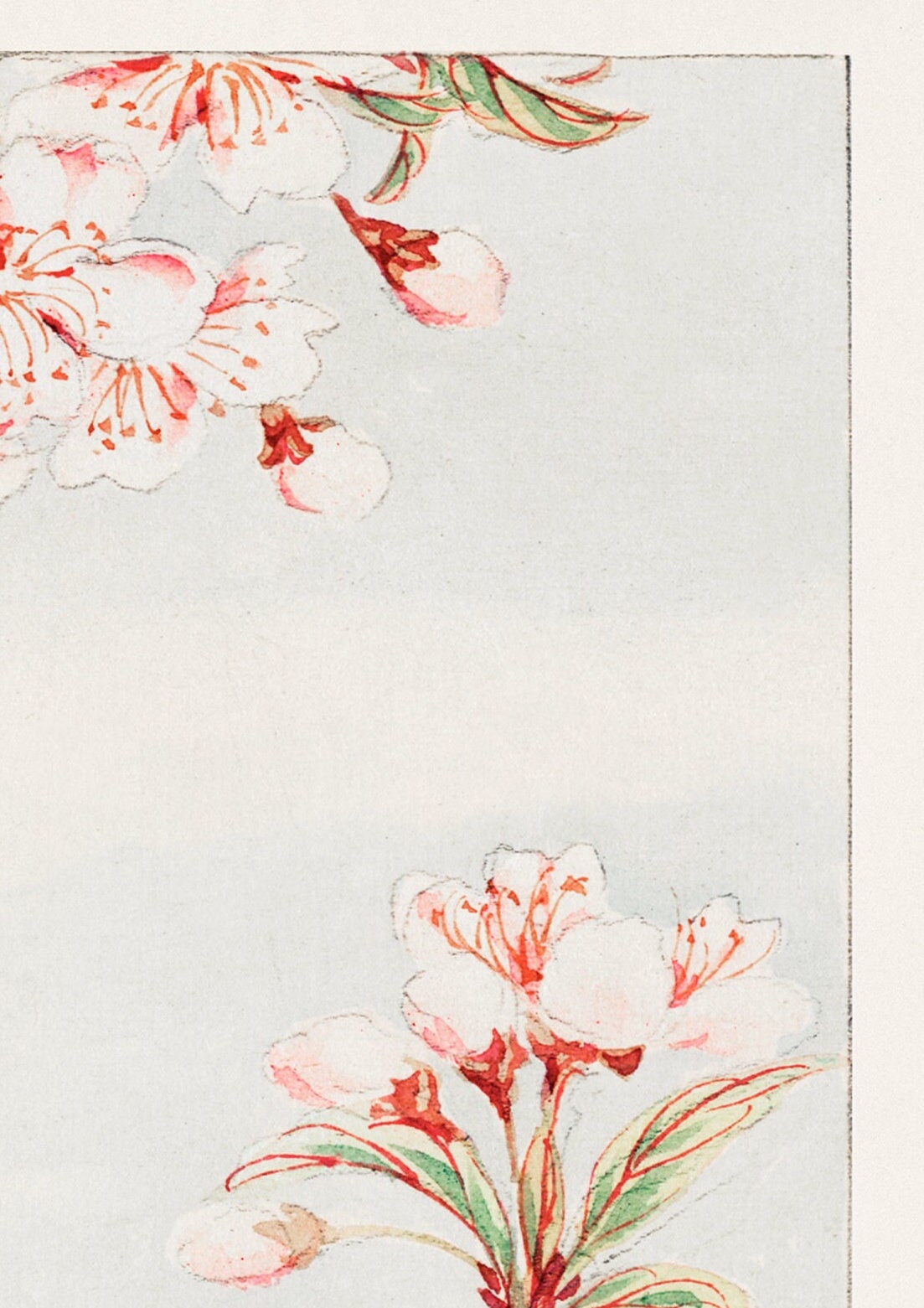 Japanese Woodblock Print: Plum Branches, Oriental Vintage Art