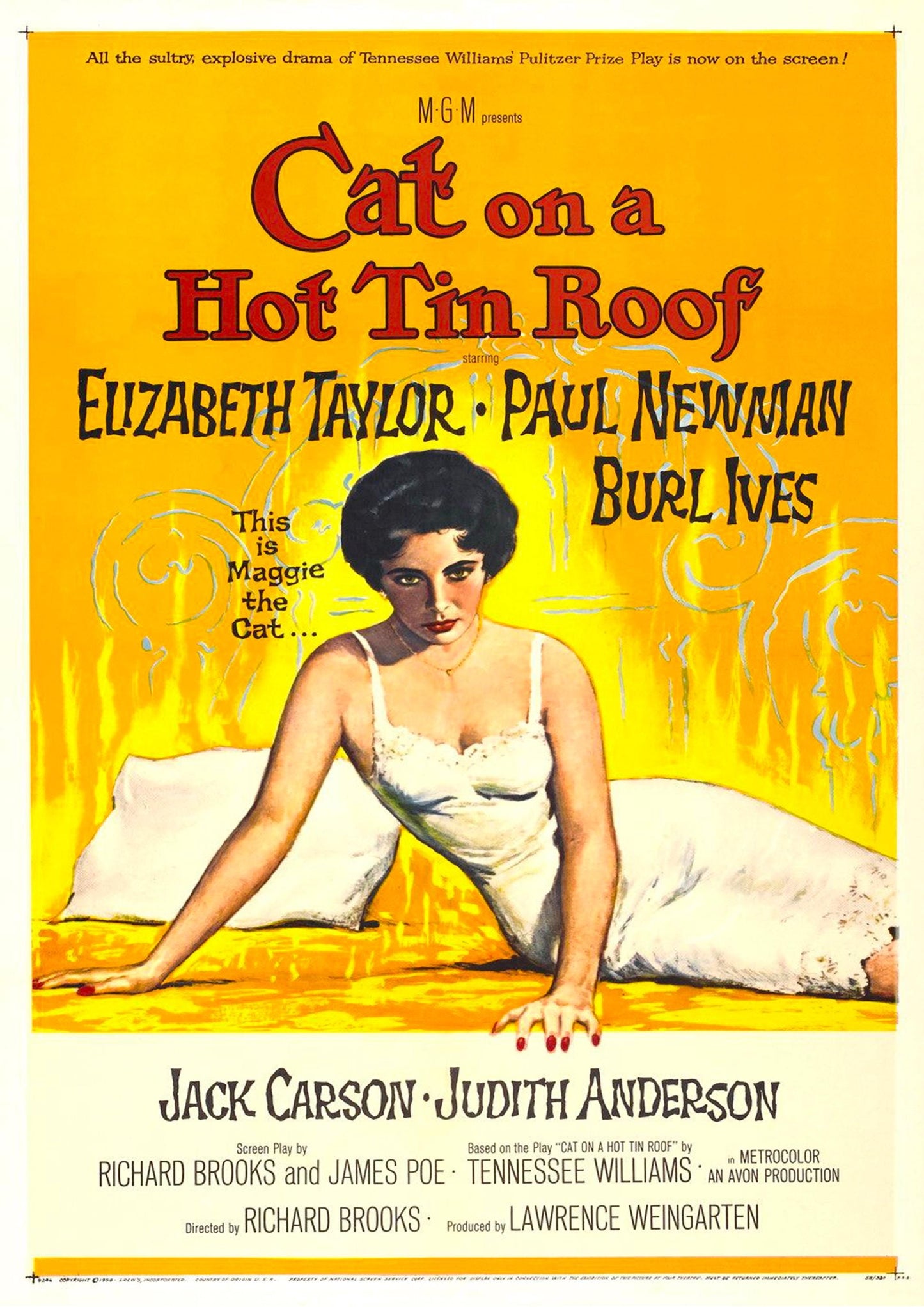 Cat on a Hot Tin Roof Movie Poster: Vintage Cinema Art Print