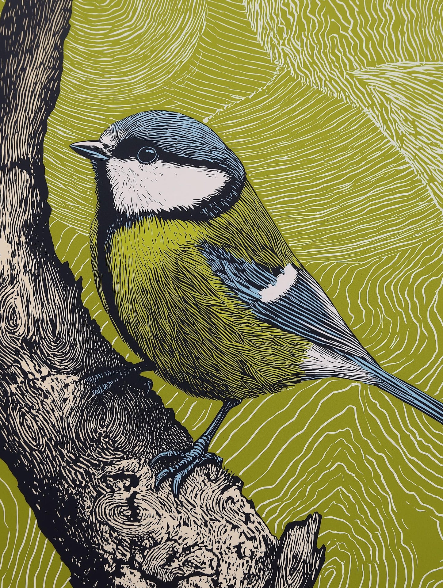 Blue Tit Linocut Style Print, Black and White Bird Art, Forest Nature Wall Decor, Green