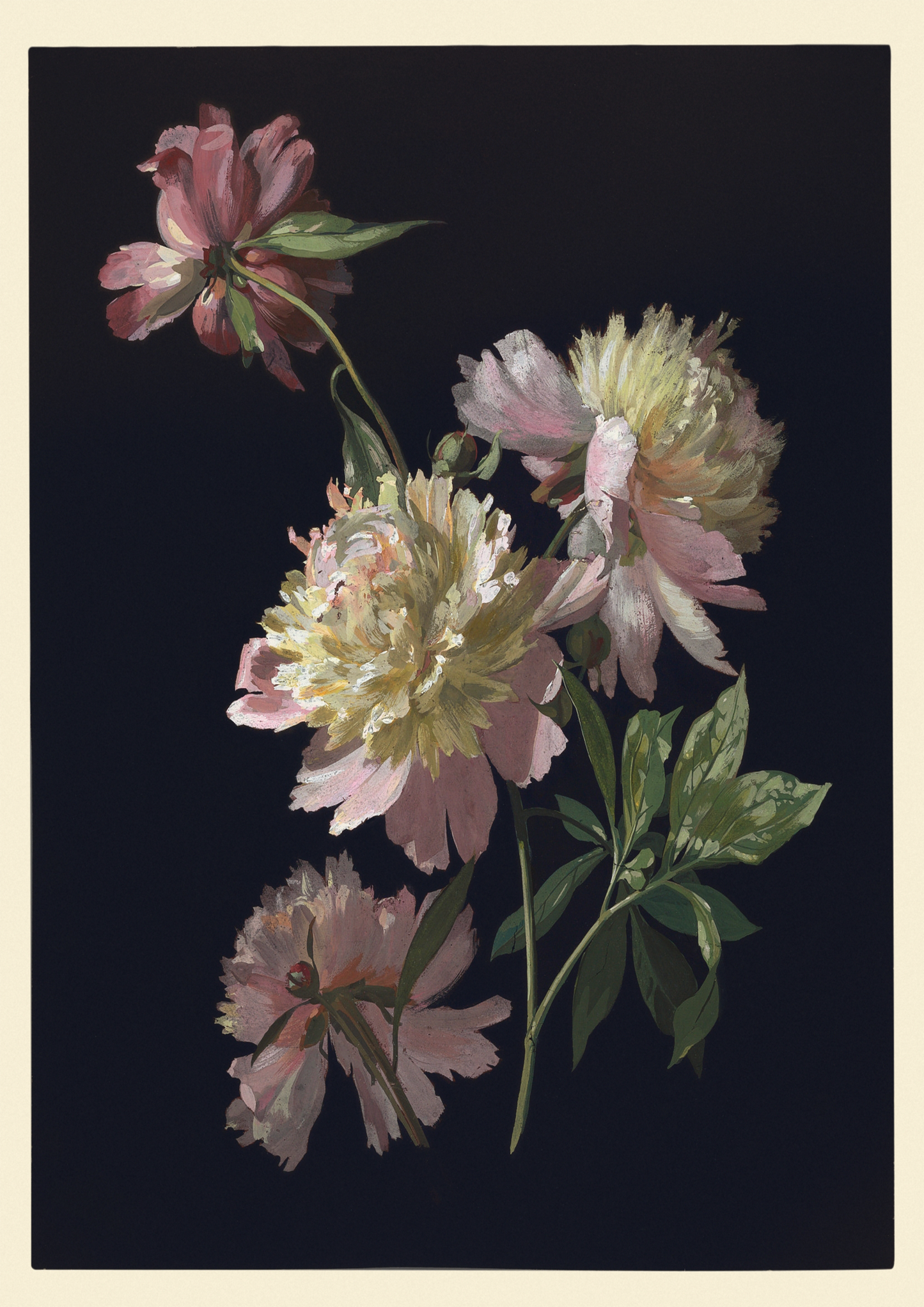 Pretty Flower Print