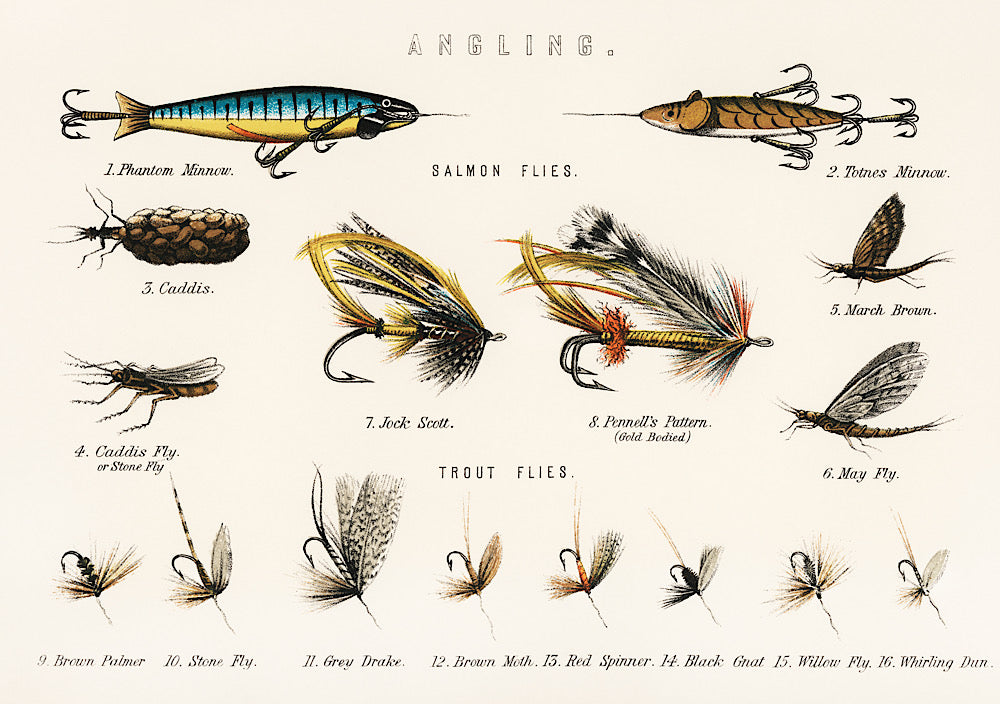 Angling Print