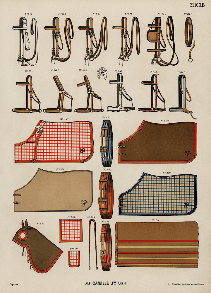 Antique Riding Equipment Print