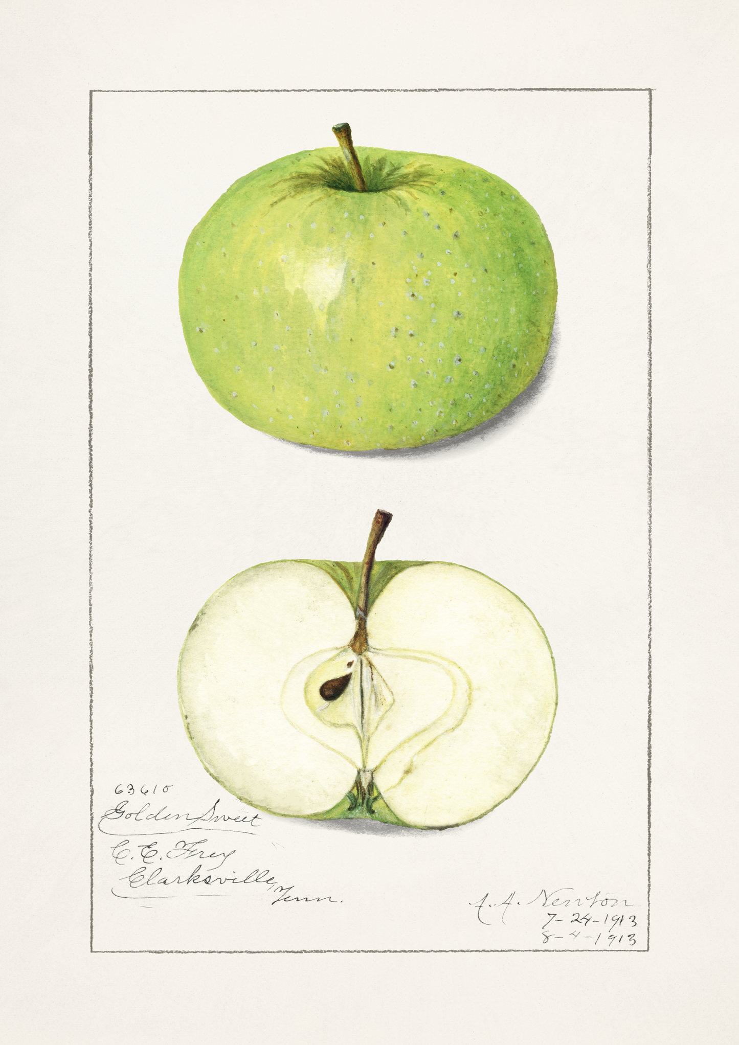 Vintage Apple Print