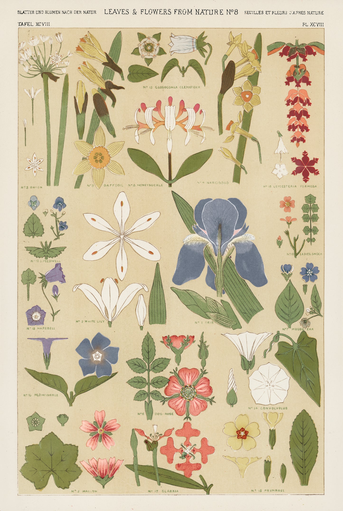 Vintage Leaves and Flowers Print