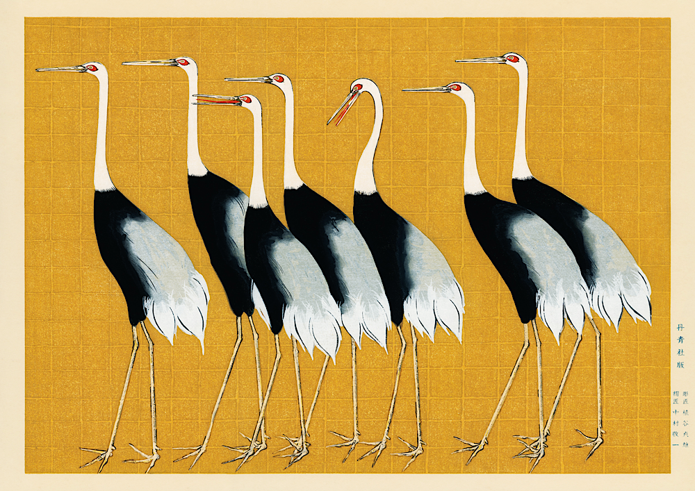 Japanese Red Crown Cranes Print