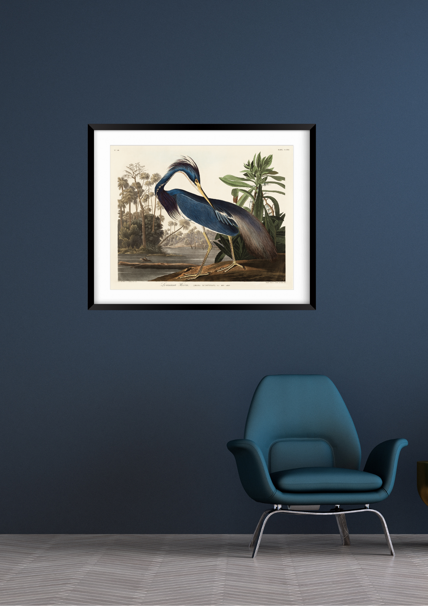 Blue Heron, Birds of America Print
