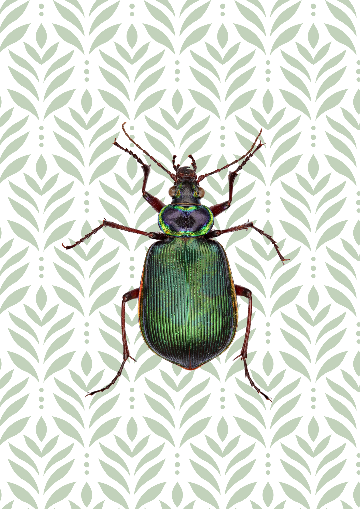 Beetle Print